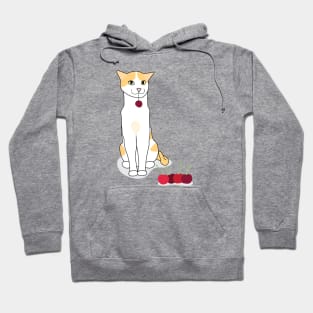 Cherry Cat Hoodie